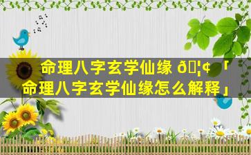 命理八字玄学仙缘 🦢 「命理八字玄学仙缘怎么解释」
